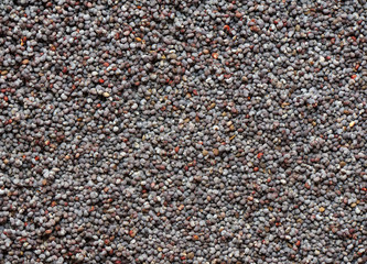 Poppy seeds, background