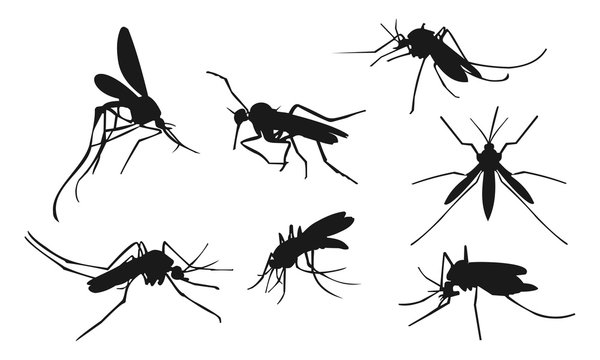 silhouette mosquito set