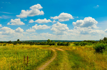 Fototapeta na wymiar Rural road through the green meadow