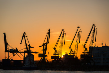 Fototapeta premium Big cranes silhouette in the port at sunset