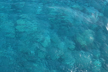 mer transparente