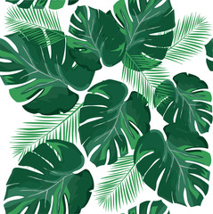 Tropical Palm Leaves Background