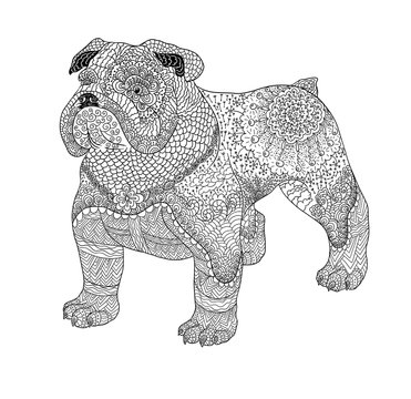 Doodle coloring book for adult with Bulldog. Dog is a symbol of year in 2018 by the zodiac calendar.