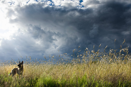 Zbliżająca się burza