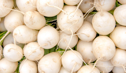 Obraz na płótnie Canvas White Turnips