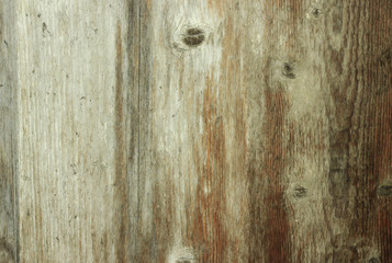 Obraz premium old wooden texture