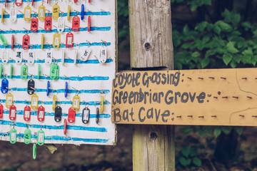 Swimtags at the Lake