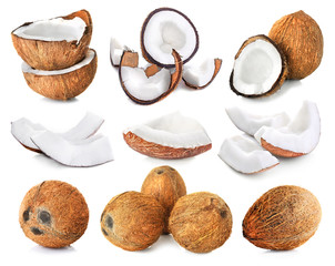 Coconut and palm leaf on white background