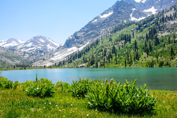 Naklejka na ściany i meble Glacier Mountain with Lake in the Summer with green