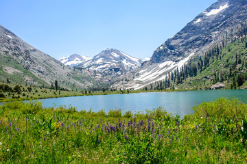 Glacier Mountain with Lake in the Summer with green