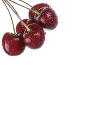 cherry isolated on white background