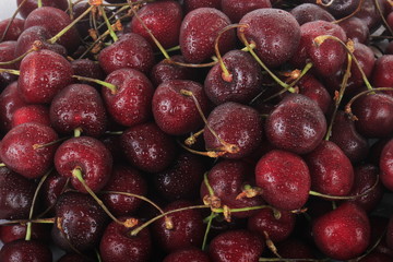 cherry background