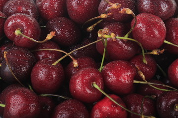 cherry background