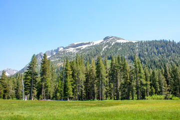 Mountain with Glacier in the summer at California