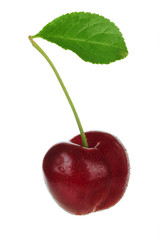 cherry with leaf isolated