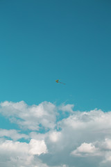 Flying kite