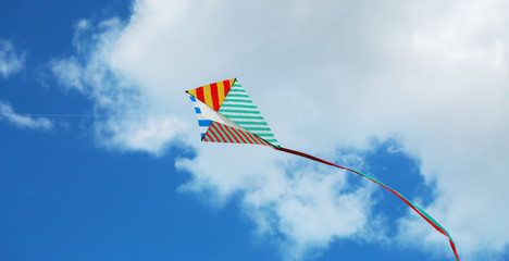 Flying kite