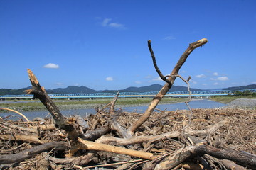 静岡＜安倍川 台風一過の河原＞