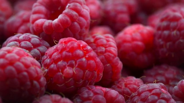 Raspberries. Fresh and juicy raspberry over white background. Rotation 360 degrees. 4K UHD video 3840X2160