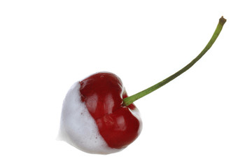 Cherry in cream isolated