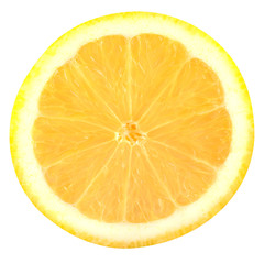 Slice lemon fruits isolated on white background