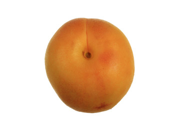 Ripe apricot Isolated on White Background