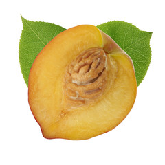 peach slice isolated on white background