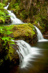 Hawaiian Waterfall on Hawaii Island