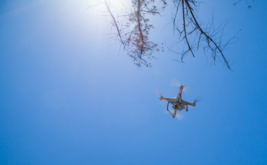 Drone Approaching from the Sky