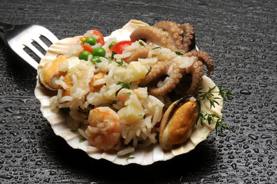 Eledone moschata Moscardino Musky octopus Moscardini Muskus achtarm Polipetto Rice salad Moschuskrake Polipetti El&eacute;done musqu&eacute;e Insalata di riso Pieuvre Mo&scaron;katna hobotnica 