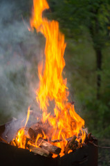 firewood outdoor on open fire in evening time