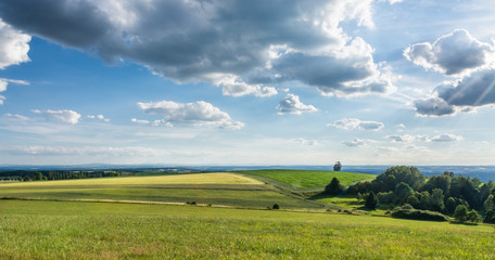 Fototapeta premium Summer landscape under blue sky with clouds. Romantic view of idyllic countryside with fields, grassland and trees covered by the sun.