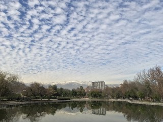 Fototapeta premium Clouds reflex on a pond water at a park in Chile