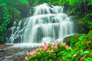 Fototapeta premium Beautiful waterfall in tropical forest.
