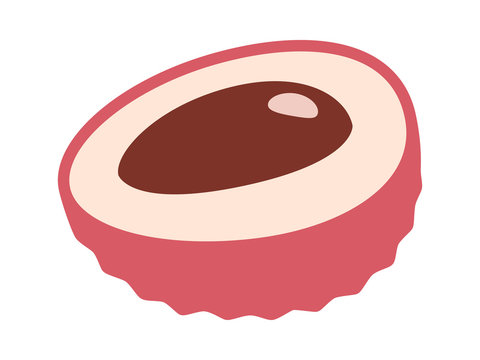 Lychee or litchi fruit with seed or pit flat color vector icon for food apps and websites