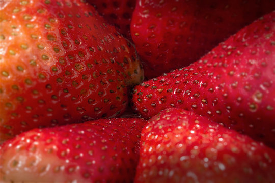 Macro Image of Fresh Red Strawberries