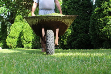 Gardener holding a wheelbarrow
