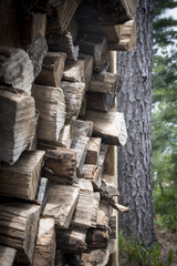 A bundle of chopped firewood