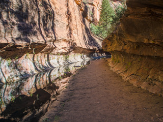 West Fork, Sedona