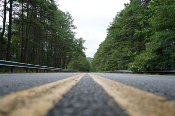 Open road surrounded by trees 