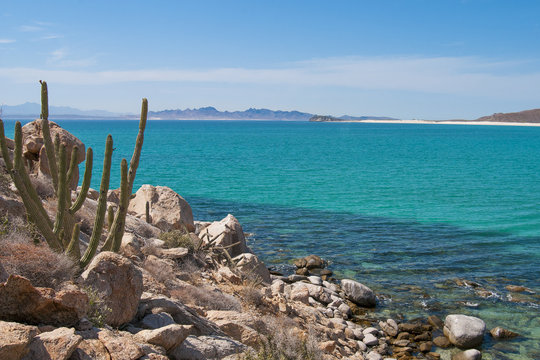 Isla Espiritu Santo, La Paz Baja California Sur. MEXICO