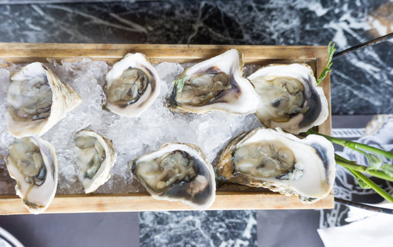 A platter of raw fresh oysters on ice at restaurant.