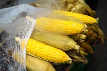 Steaming hot corn