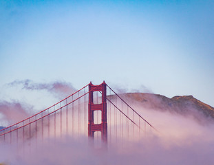 Fototapeta premium Shrouded In Fog