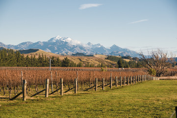 Mt Tapi - Awatere valley - Marlborough
