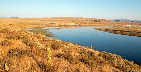 Bend in the Yellowstone river in the Hayden valley in Yellowstone National Park in Wyoming USA