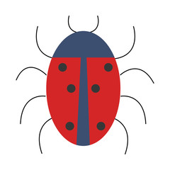 ladybug animal isolated icon vector illustration design