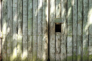 Log wood weathered door