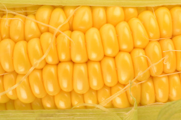 Corn close up