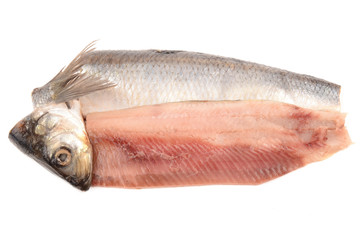 Herring on a white background